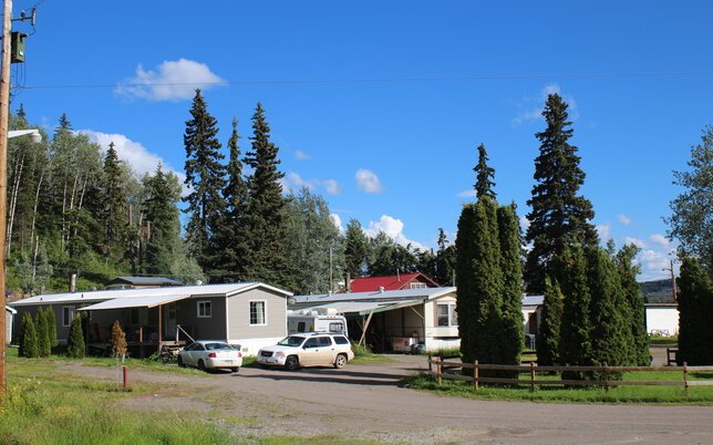 Blue Spruce Pic 3(1)